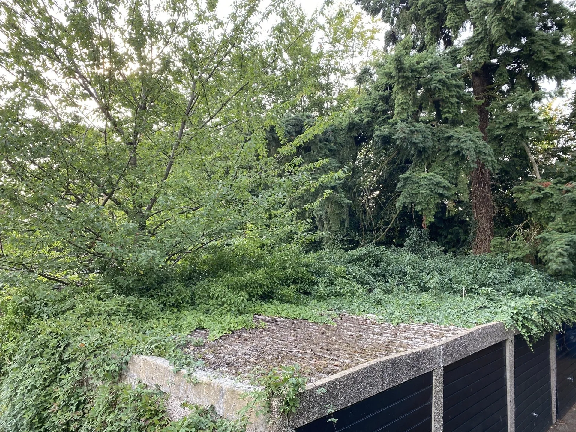 Asbestos Garage Roof Clearing Godalming