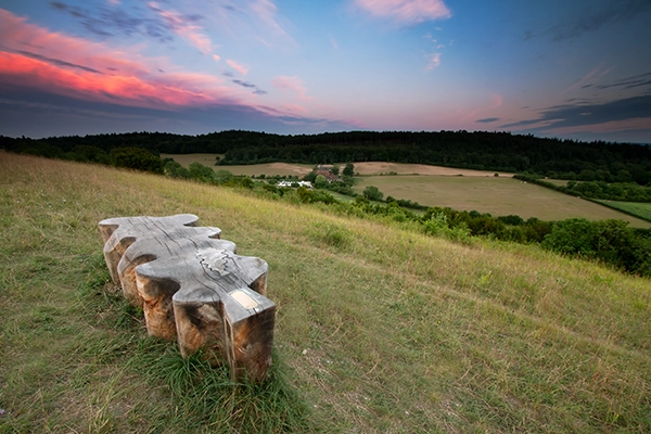 Photograph of Surrey